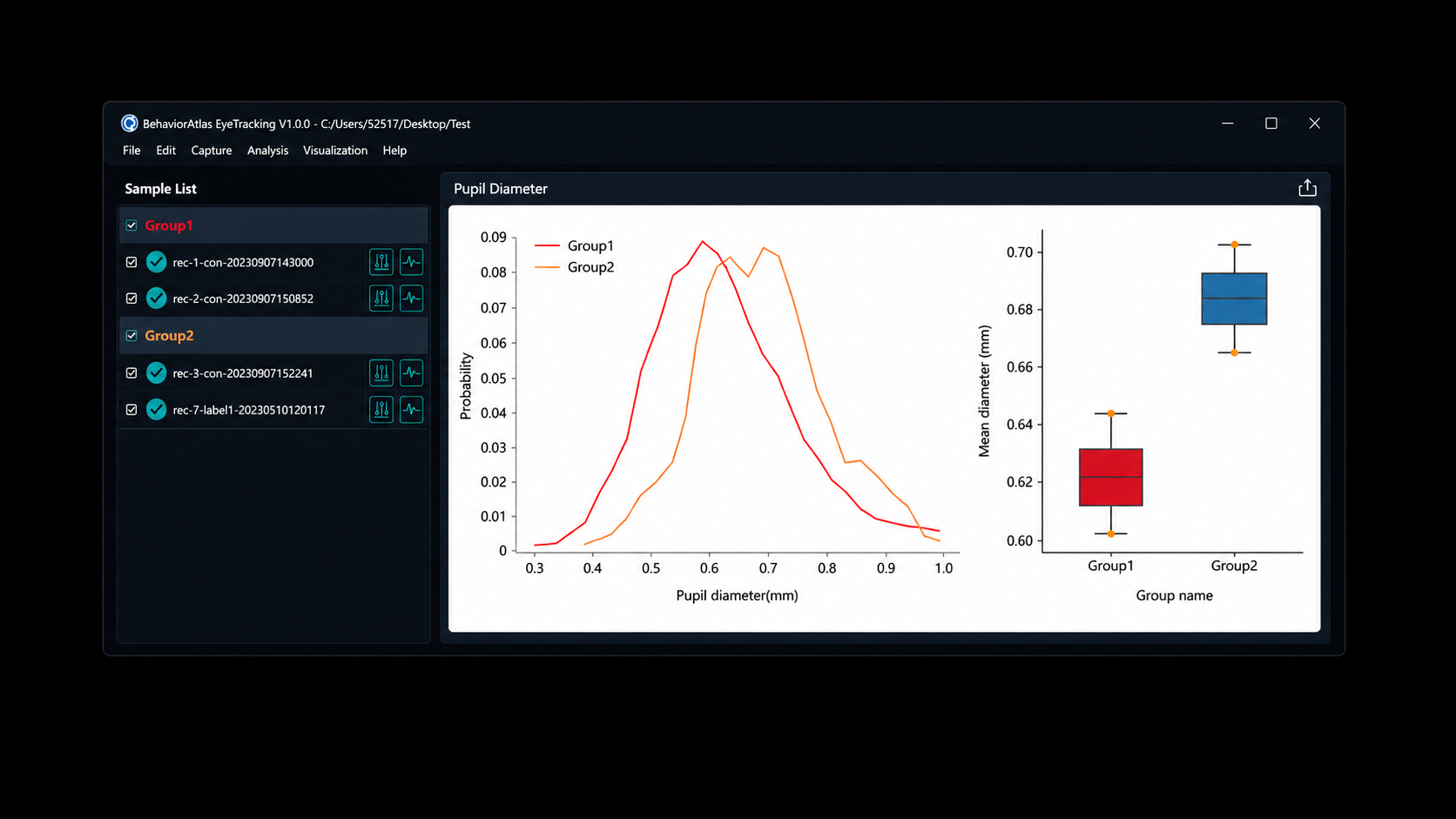 固定眼动分析软件 Analyzer
