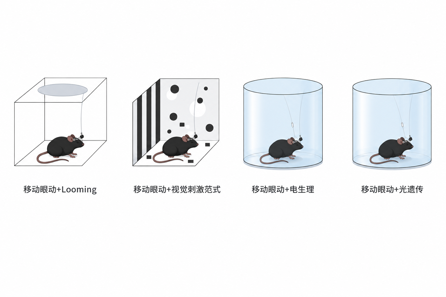 瞳孔、行为同步 & 多设备联调