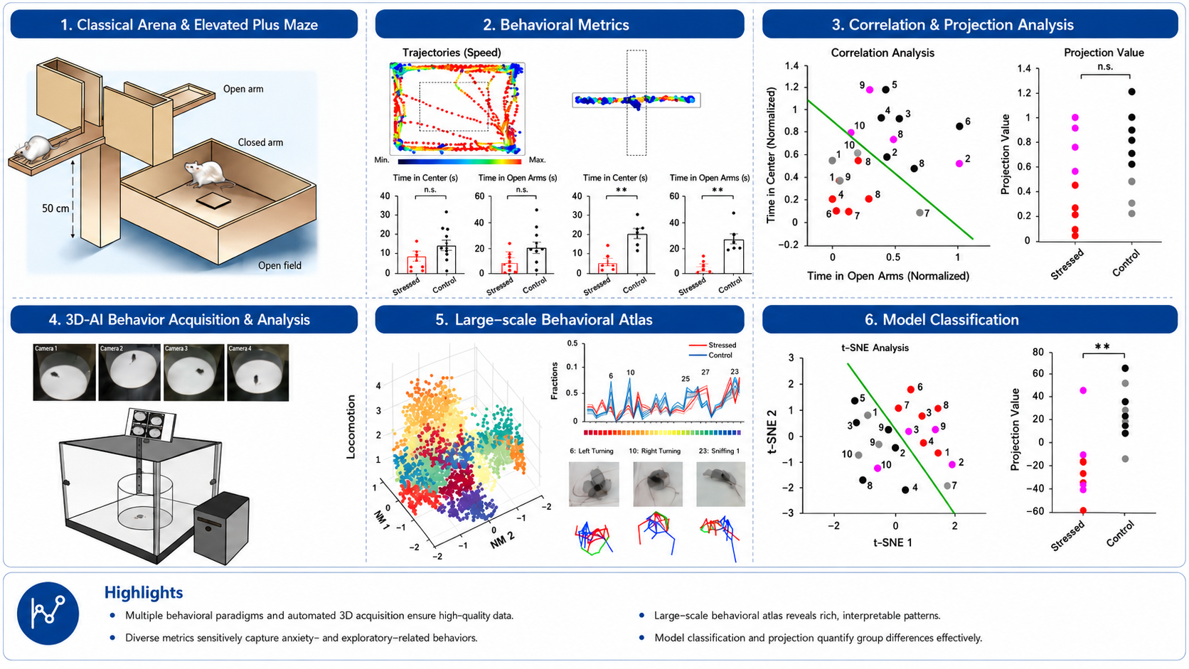 为动物焦虑行为评估提供全新视角