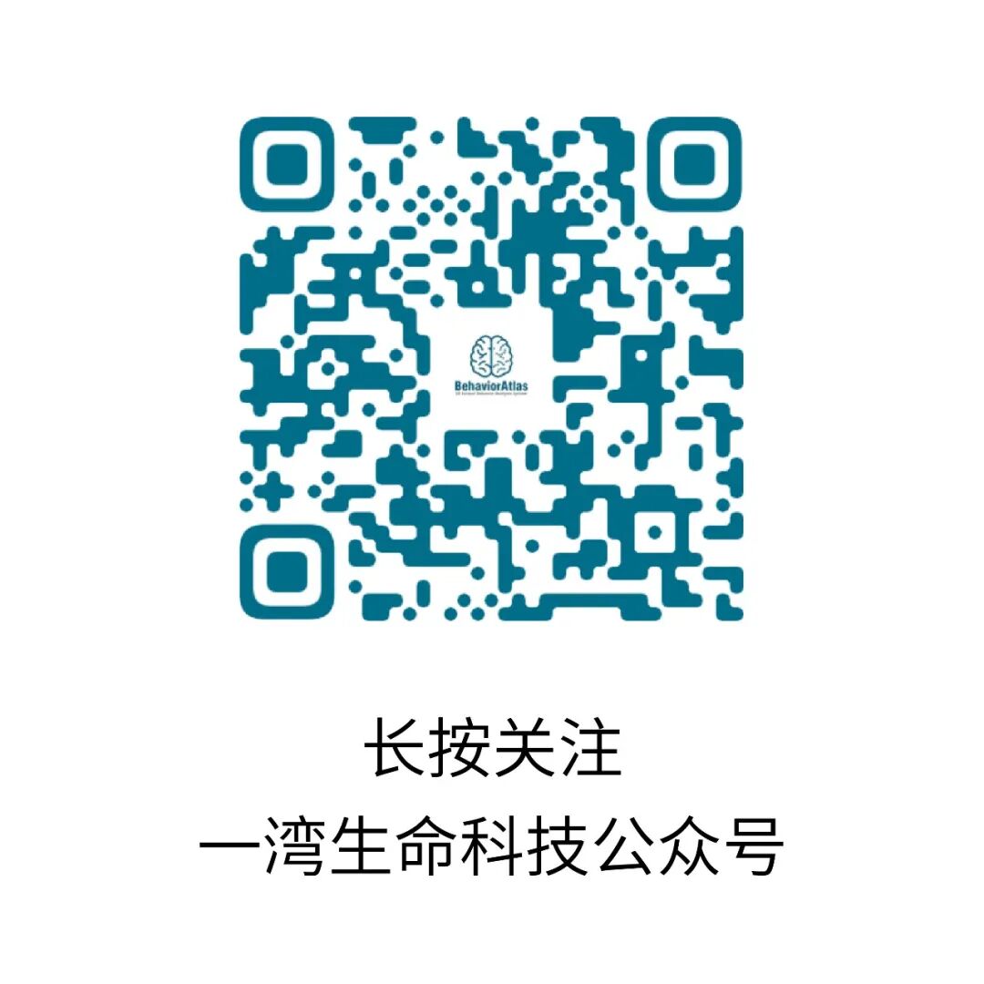 开发团队 1