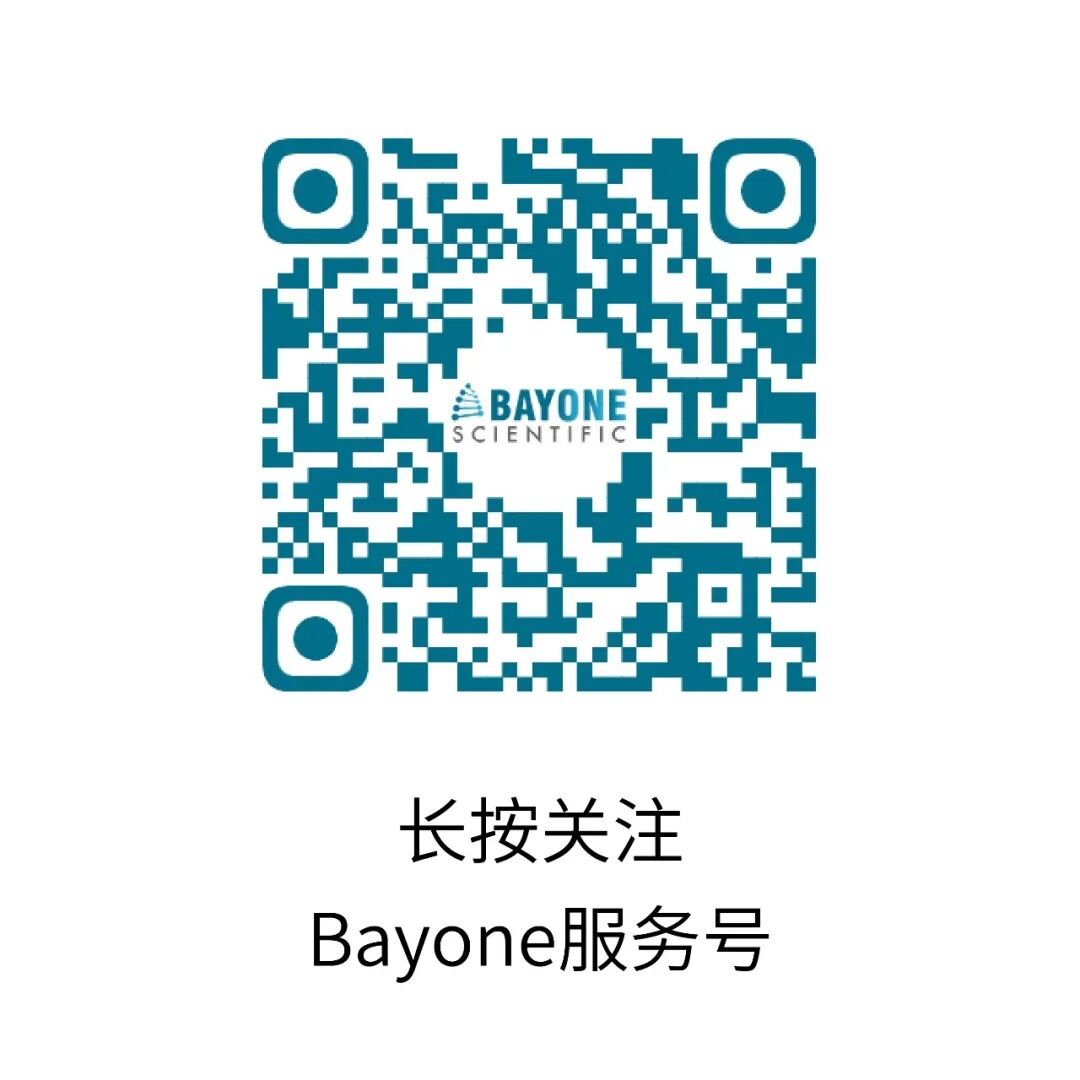 开发团队 2
