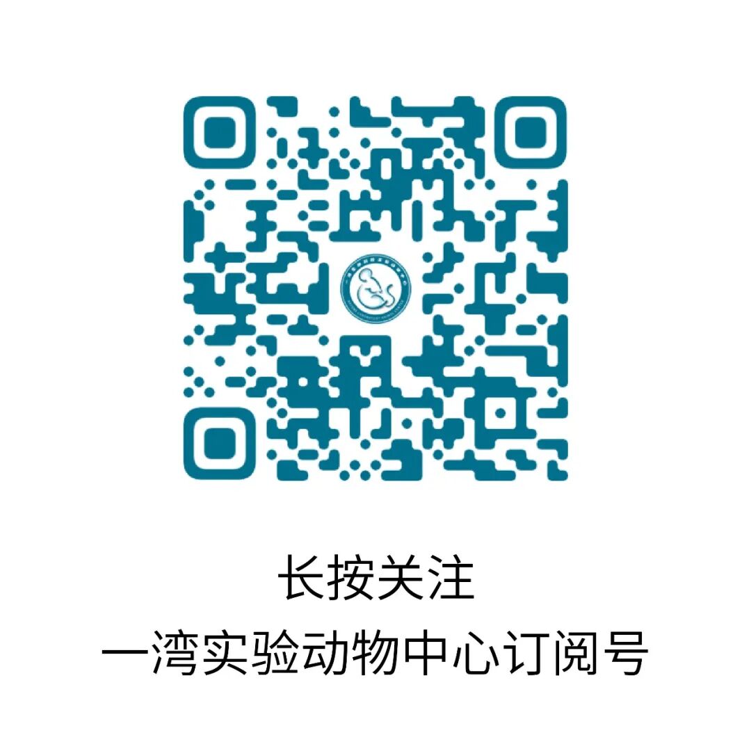 开发团队 3
