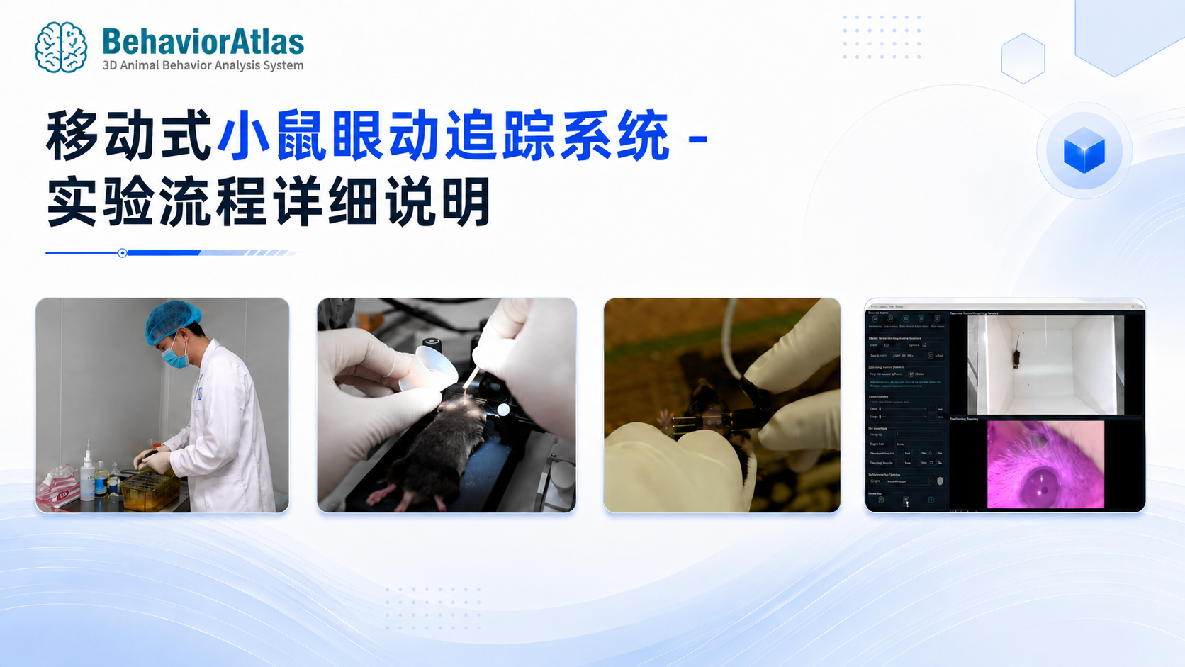 移动式小鼠眼动追踪系统 - 实验流程详细说明