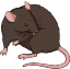 梳理