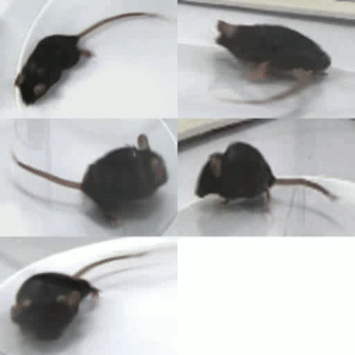 攀爬