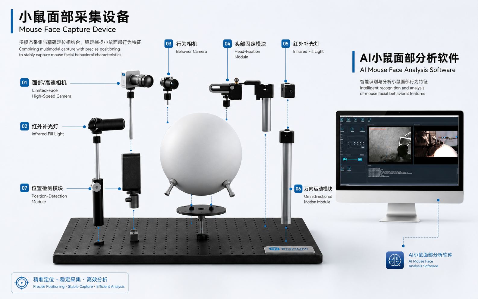 AI 小鼠面部分析系统